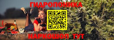 PSILOCYBIN Бузулук