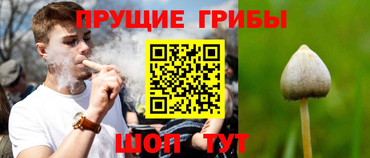 Галлюциногенные грибы Psilocybine cubensis  Галлюциногенные грибы MAGIC MUSHROOMS  Вход с VPN  Усть-Кут 